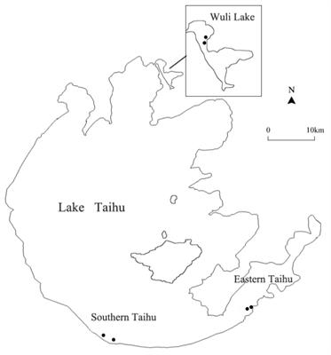 Epiphytic bacterial community composition on four submerged macrophytes in different regions of Taihu Lake